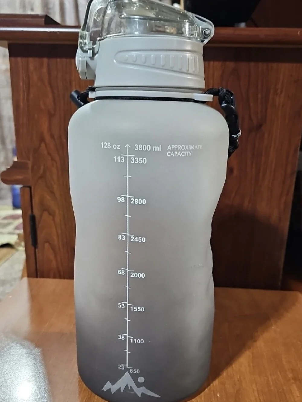 Hydration Motivational Water Bottle with Paracord Handle - Gray